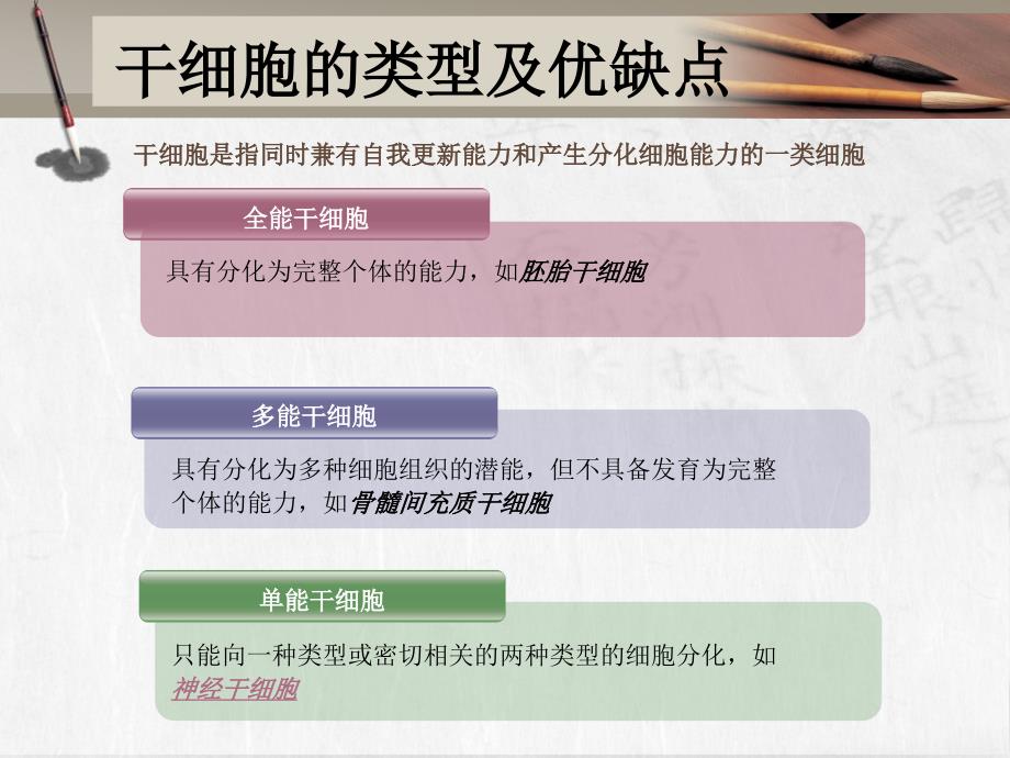 干细胞移植治疗PPT课件.ppt_第3页