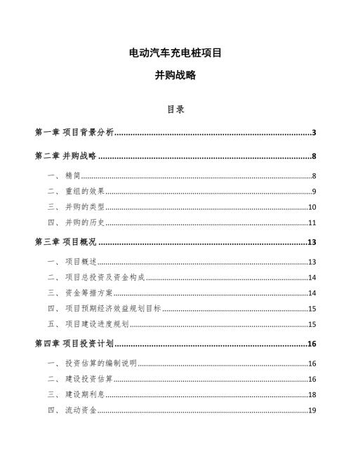 电动汽车充电桩项目并购战略参考.docx