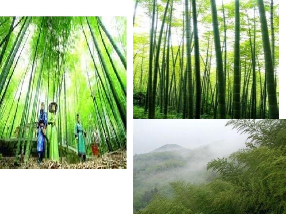旅游景点介绍PPT课件.ppt_第3页