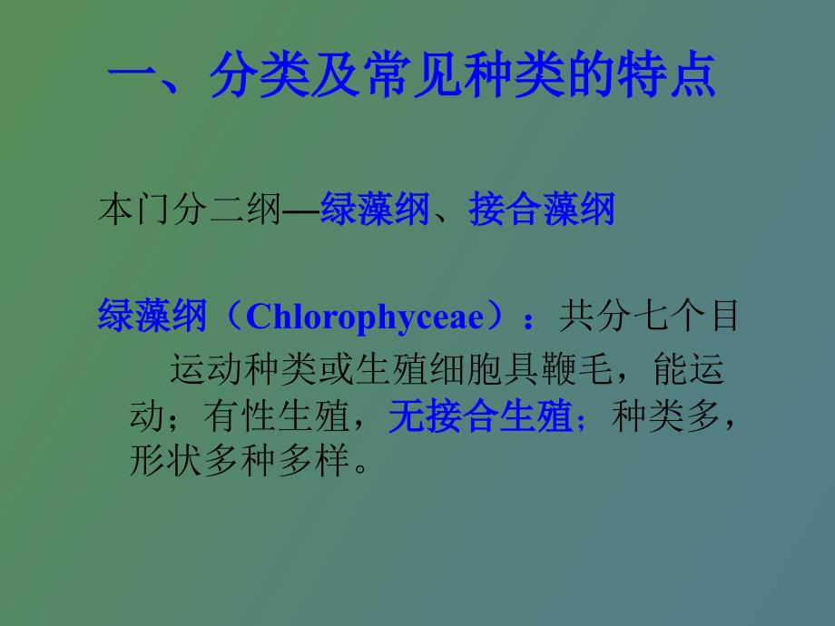 水生生物学绿藻门.ppt_第2页
