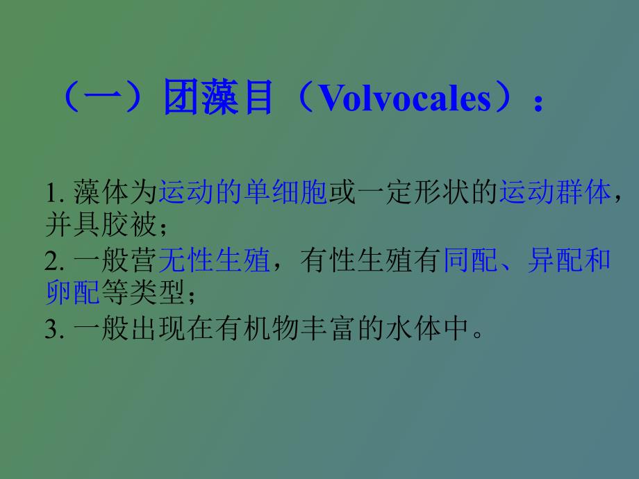 水生生物学绿藻门.ppt_第3页
