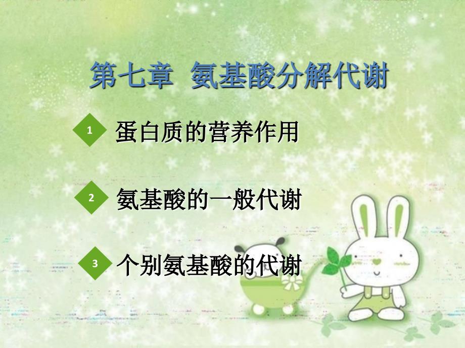 氨基酸分解代谢PPT课件.ppt_第1页