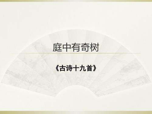 庭中有奇树ppt.pptx