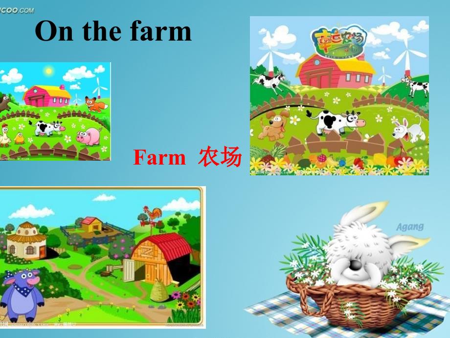 小学英语动物教学课件.ppt_第3页