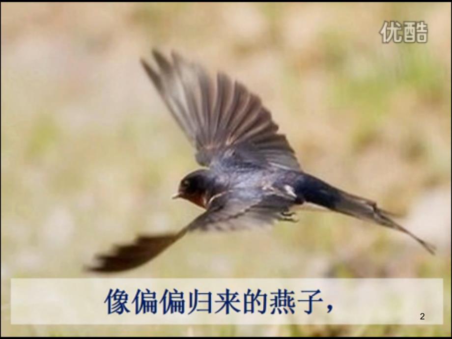 延安我把你追寻朗诵ppt课件.ppt_第2页