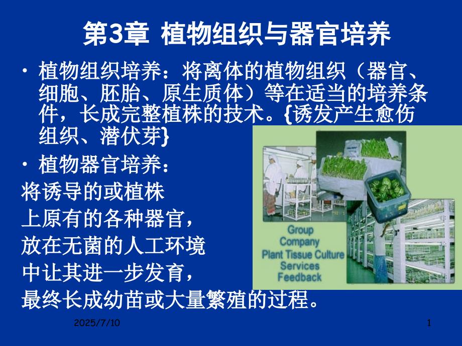 植物组织培养与器官培养.ppt_第1页