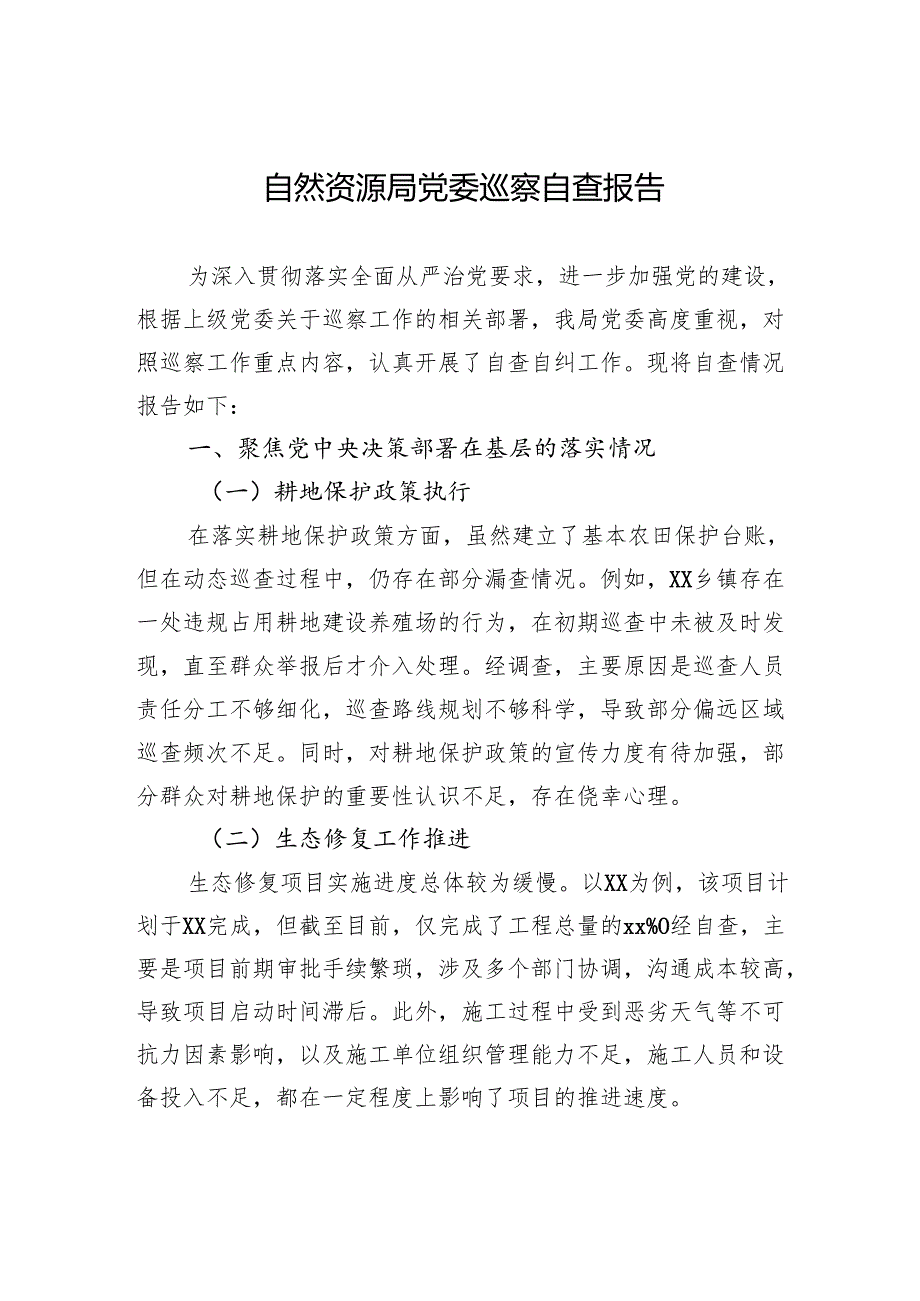 自然资源局党委巡察自查报告.docx_第1页