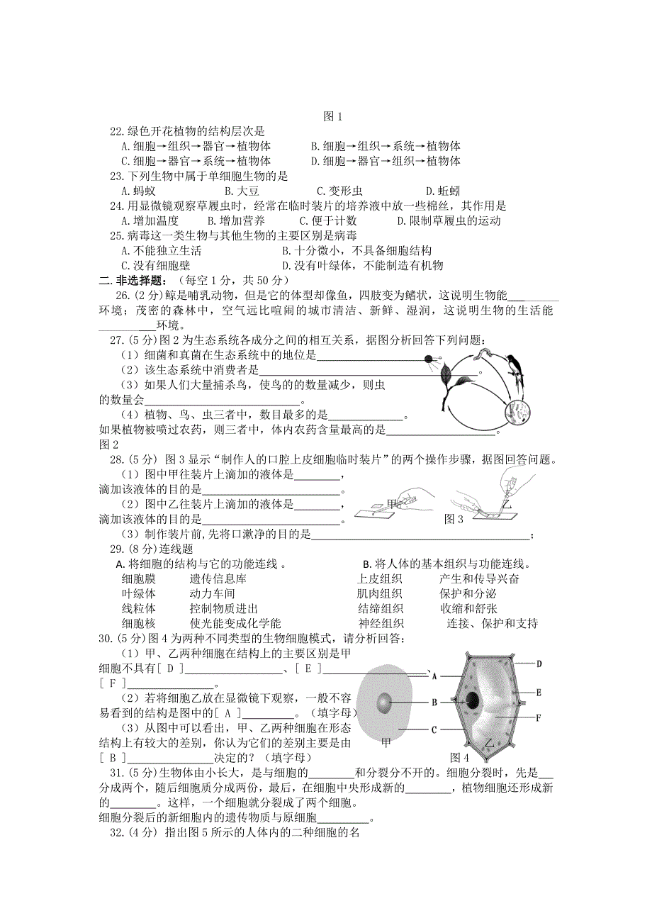 新人教版七年级生物上册期中考试卷及答案集.doc_第2页