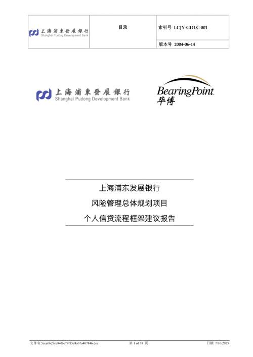 浦发风险管理总体规划项目个人信贷流程框架建议报告.doc