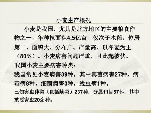 小麦主要病虫害PPT课件.ppt