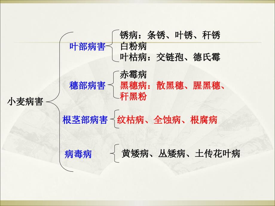 小麦主要病虫害PPT课件.ppt_第2页