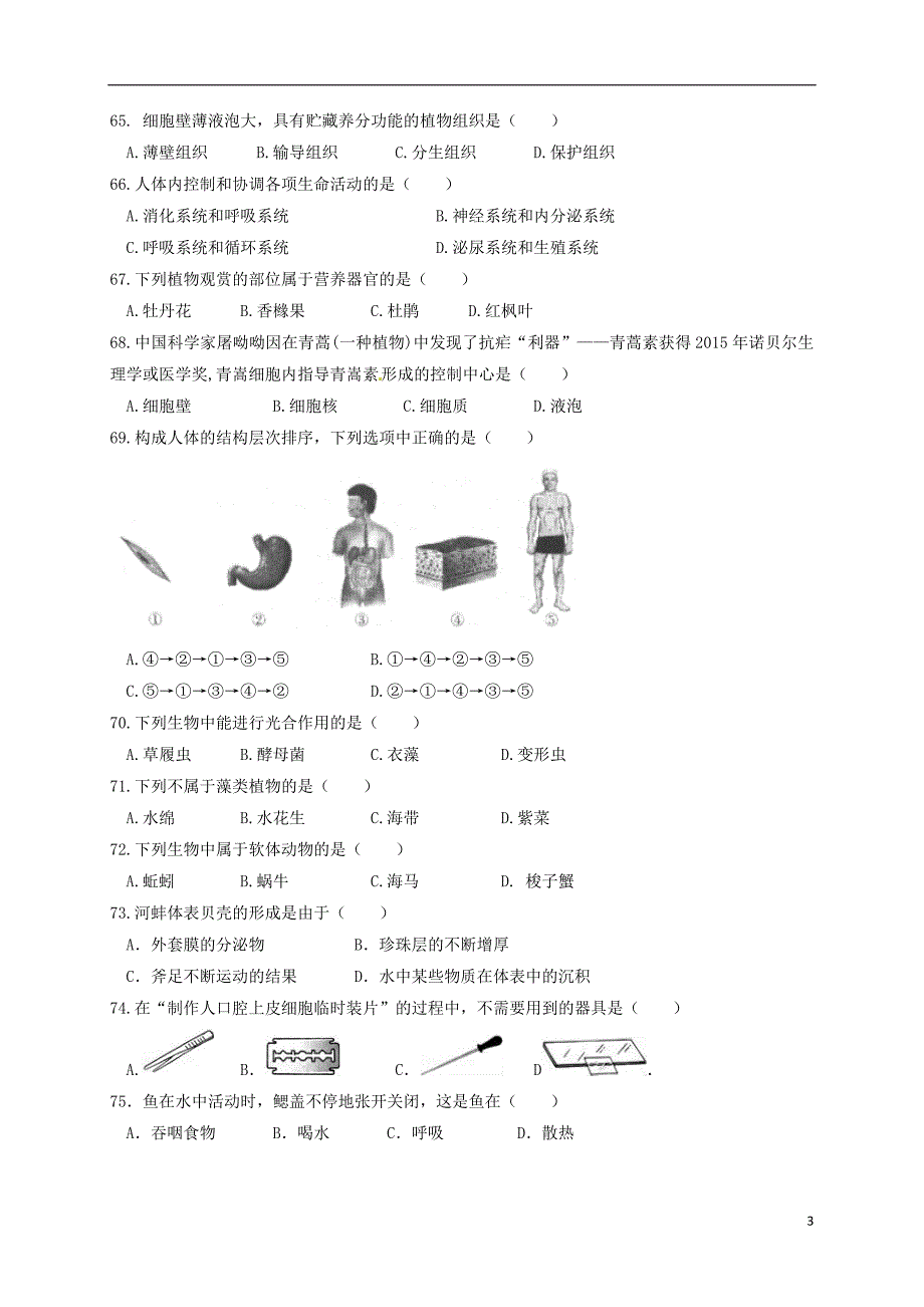 江苏省泰兴市老叶初级中学西城中学七年级生物下学期期中试题新人教版.doc_第3页