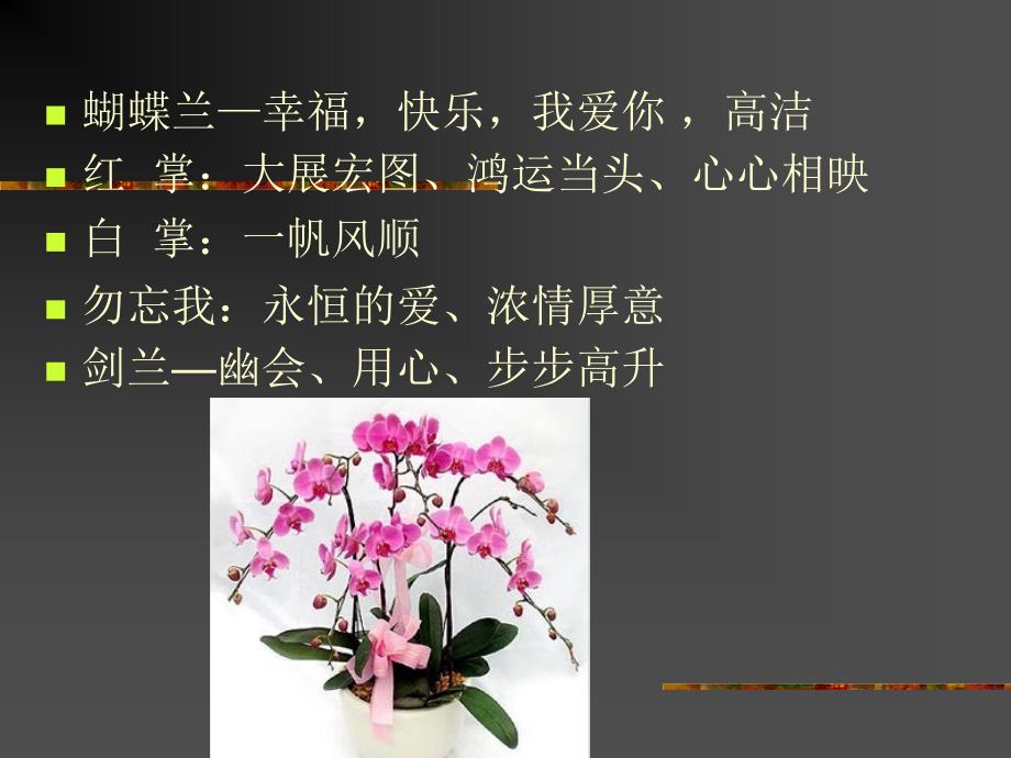 常用花语和送花常识.ppt_第3页