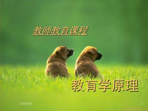 教育学原理PPT课件.ppt