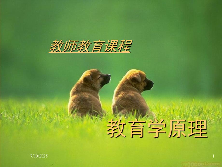 教育学原理PPT课件.ppt_第1页