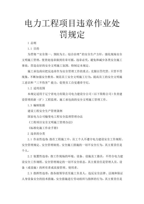 电力工程项目违章作业处罚规定.doc