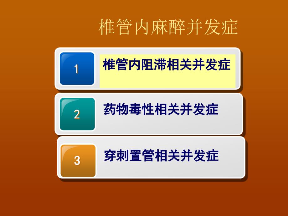 椎管内麻醉并发症专家共识.ppt_第3页
