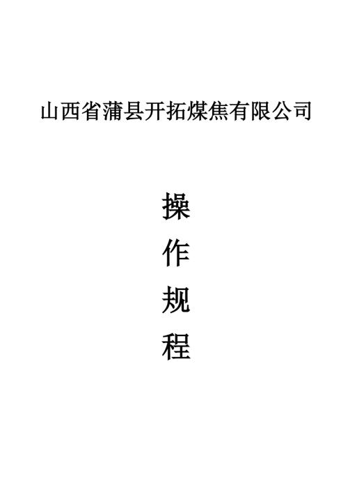 煤焦公司洗煤厂安全操作规程.doc