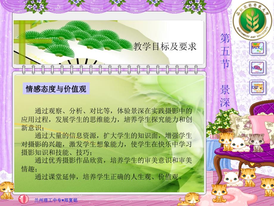 摄影中的景深课件.ppt_第3页