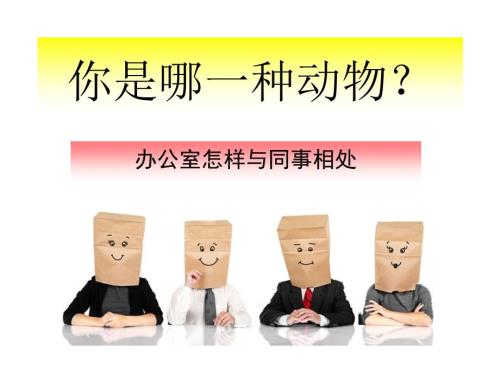 性格测试考拉孔雀老虎猫头鹰.ppt