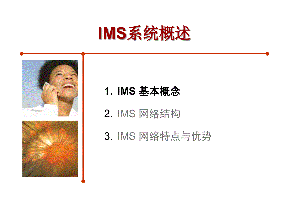 新员工培训之IMS系统概述.ppt_第2页