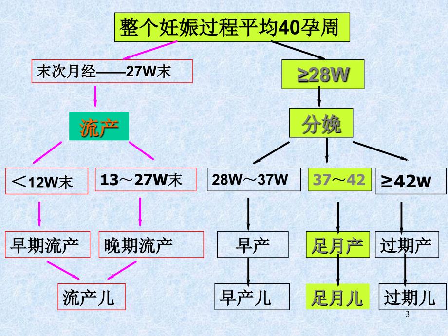 正常分娩PPT课件.ppt_第3页