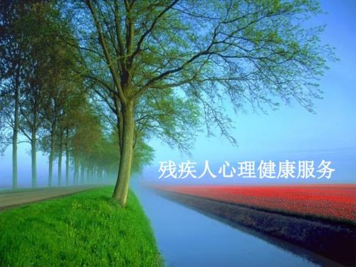 残疾人心理健康服务ppt课件.ppt