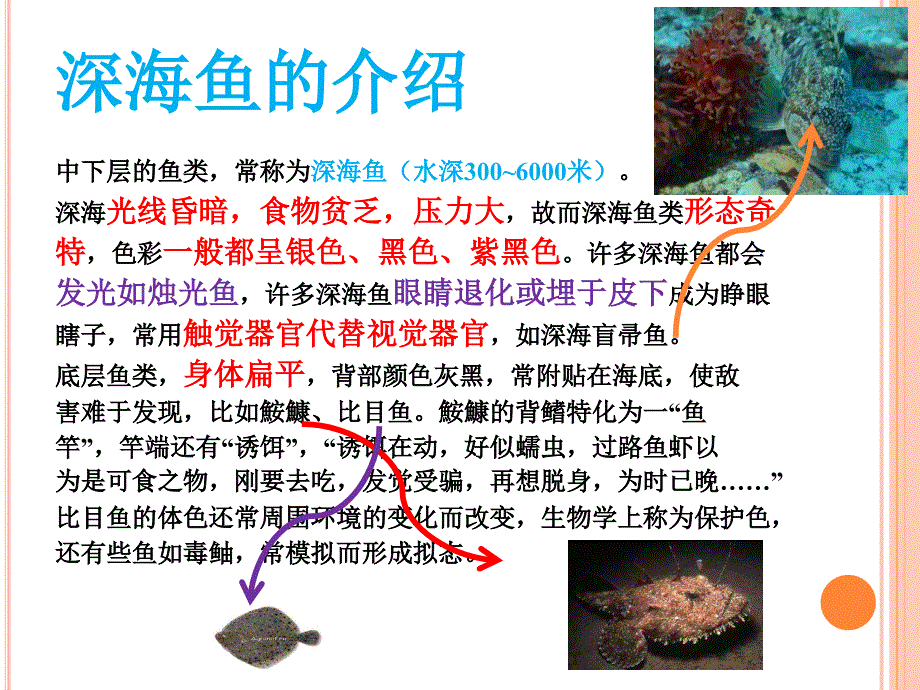 海洋鱼类是如何适应深水环境.ppt_第2页
