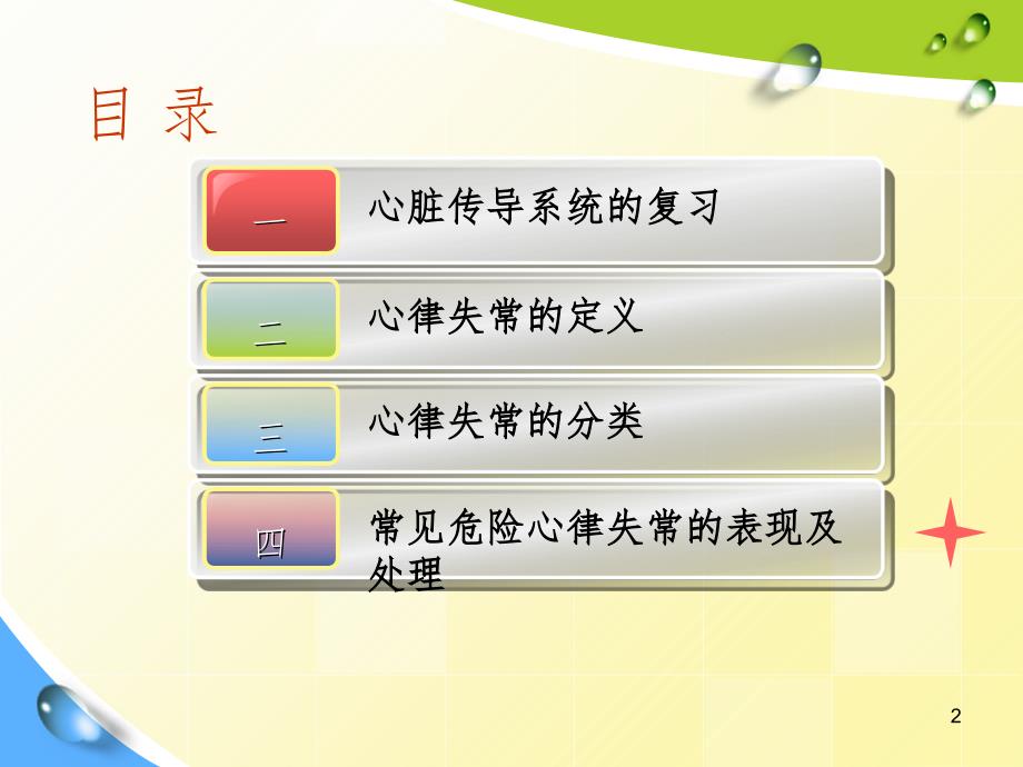 常见心律失常及处理PPT课件.ppt_第2页