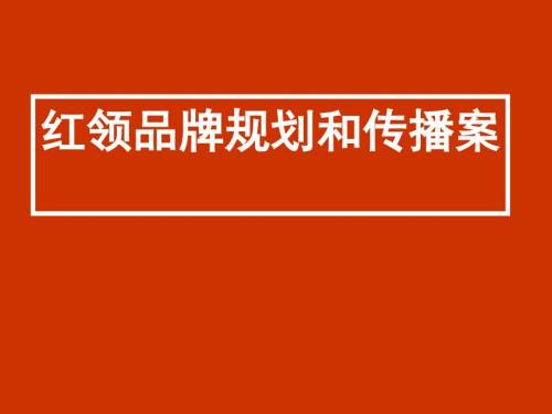 服装品牌战略规划.ppt
