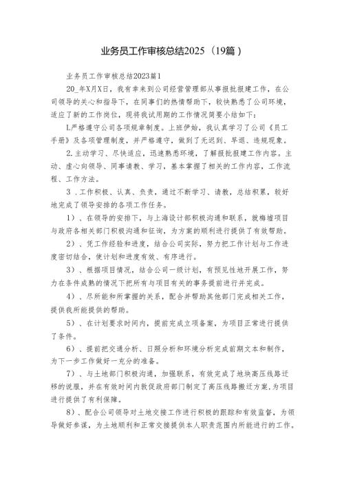 业务员工作审核总结2025（19篇）.docx