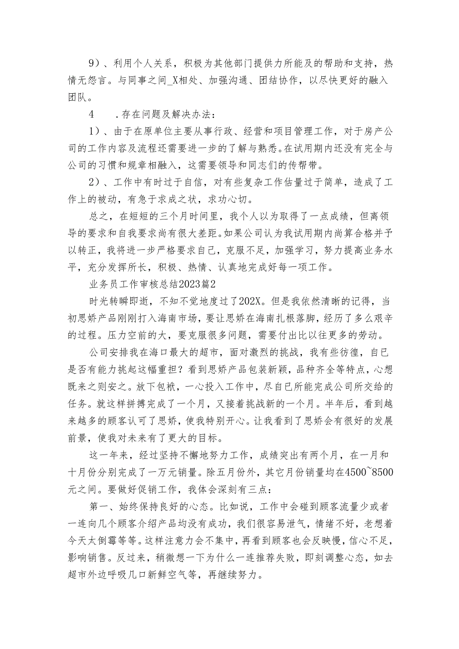 业务员工作审核总结2025（19篇）.docx_第2页