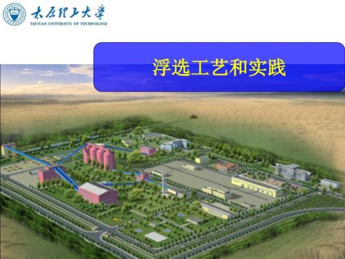 浮选知识大全.PPT.ppt