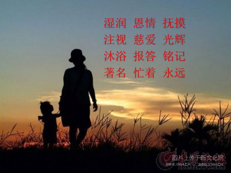 母亲的恩情PPT课件.pptx_第2页
