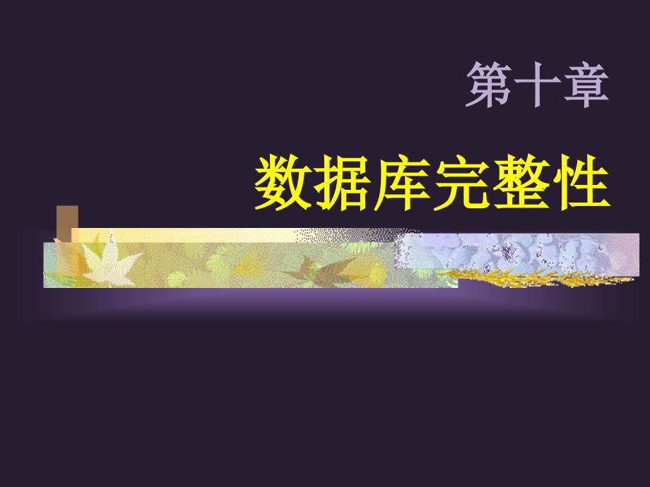 数据库完整性PPT课件.ppt_第1页