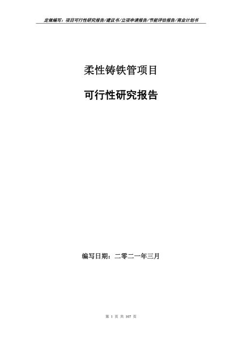 柔性铸铁管项目可行性研究报告写作范本.doc