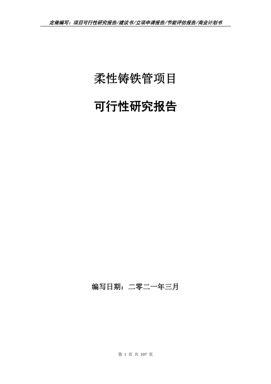 柔性铸铁管项目可行性研究报告写作范本.doc_第1页