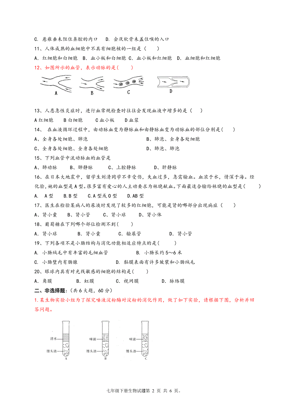 新人教版初中七年级下册生物期末测试试题含答案.doc_第2页
