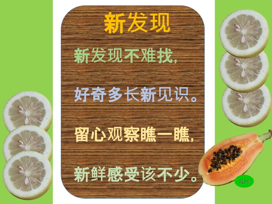 湘版三年级美术课件新发现.ppt_第3页