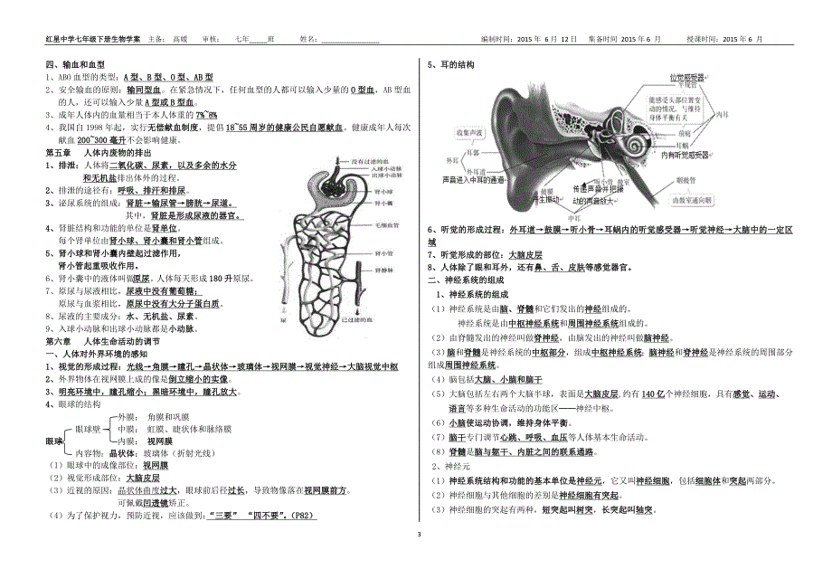新人教版七年级生物下册总复习知识点.doc_第3页
