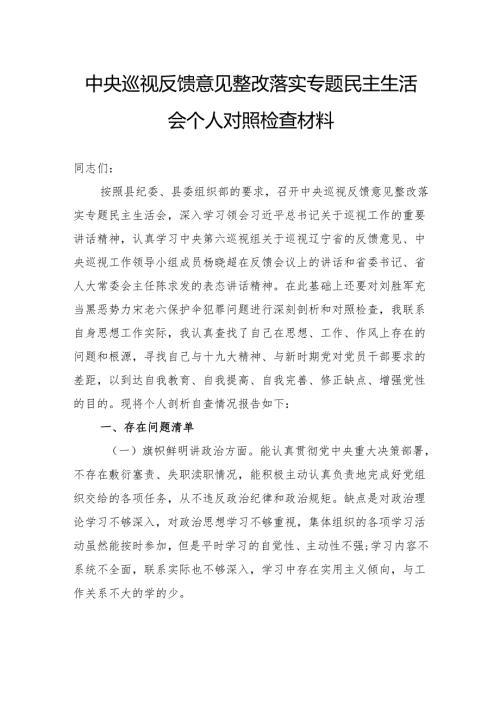 中央巡视反馈意见整改落实专题民主生活会个人对照检查材料.docx