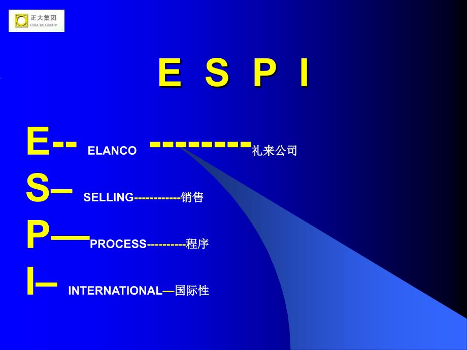 正大ESPI培训课程.ppt_第2页