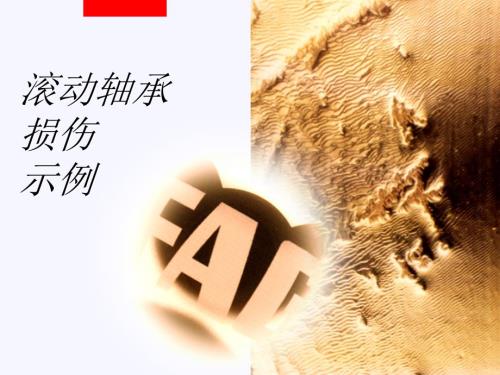 滚动轴承的损伤PPT课件.ppt