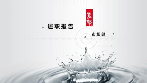 市场经理述职报告PPT.ppt