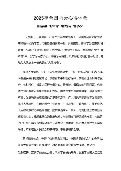 支部2025年学习全国两会心得体会(六篇合集）.docx