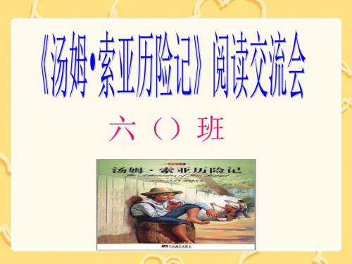 汤姆索亚历险记读书交流会PPT.ppt