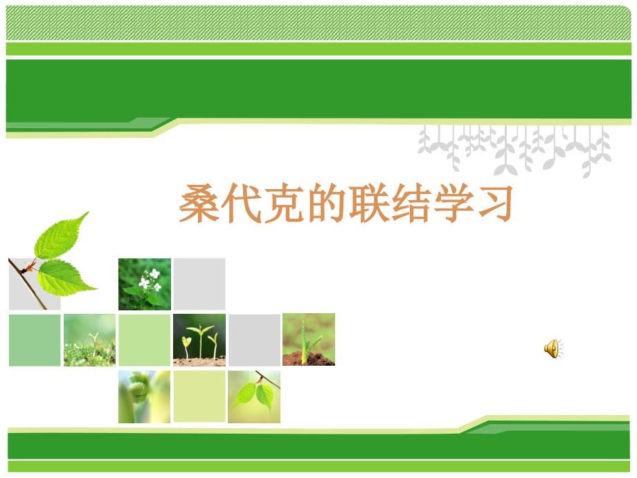 桑代克的联结学习理论ppt课件.ppt_第1页