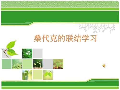 桑代克的联结学习理论ppt课件.ppt