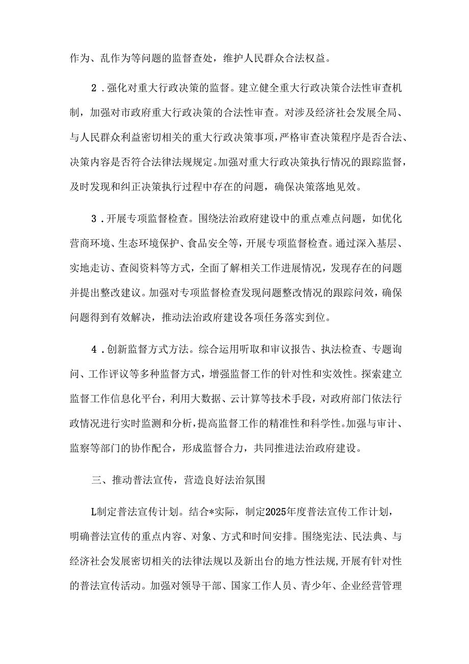 市人大办公室2025年法治政府建设工作要点.docx_第3页