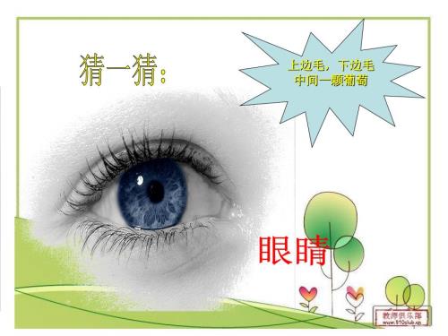 小学生预防近视公开课课件.ppt